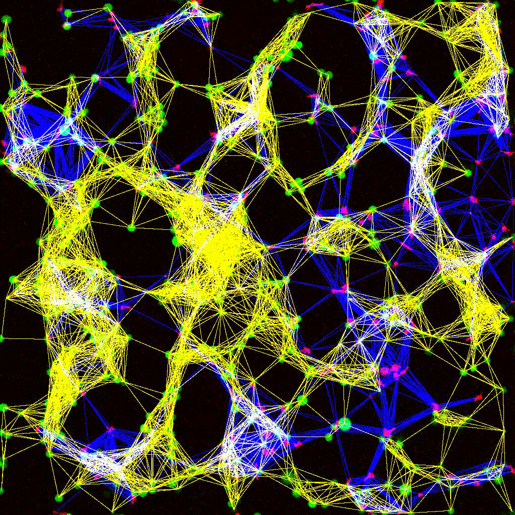 Cell cluster network visualization: dynamic immune-tumor interaction graph